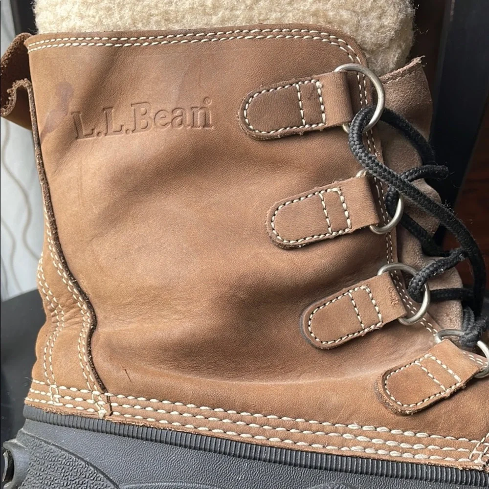 L.L. Bean bean duck
